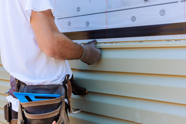 Best Custom Trim and Detailing for Siding  in Heyworth, IL